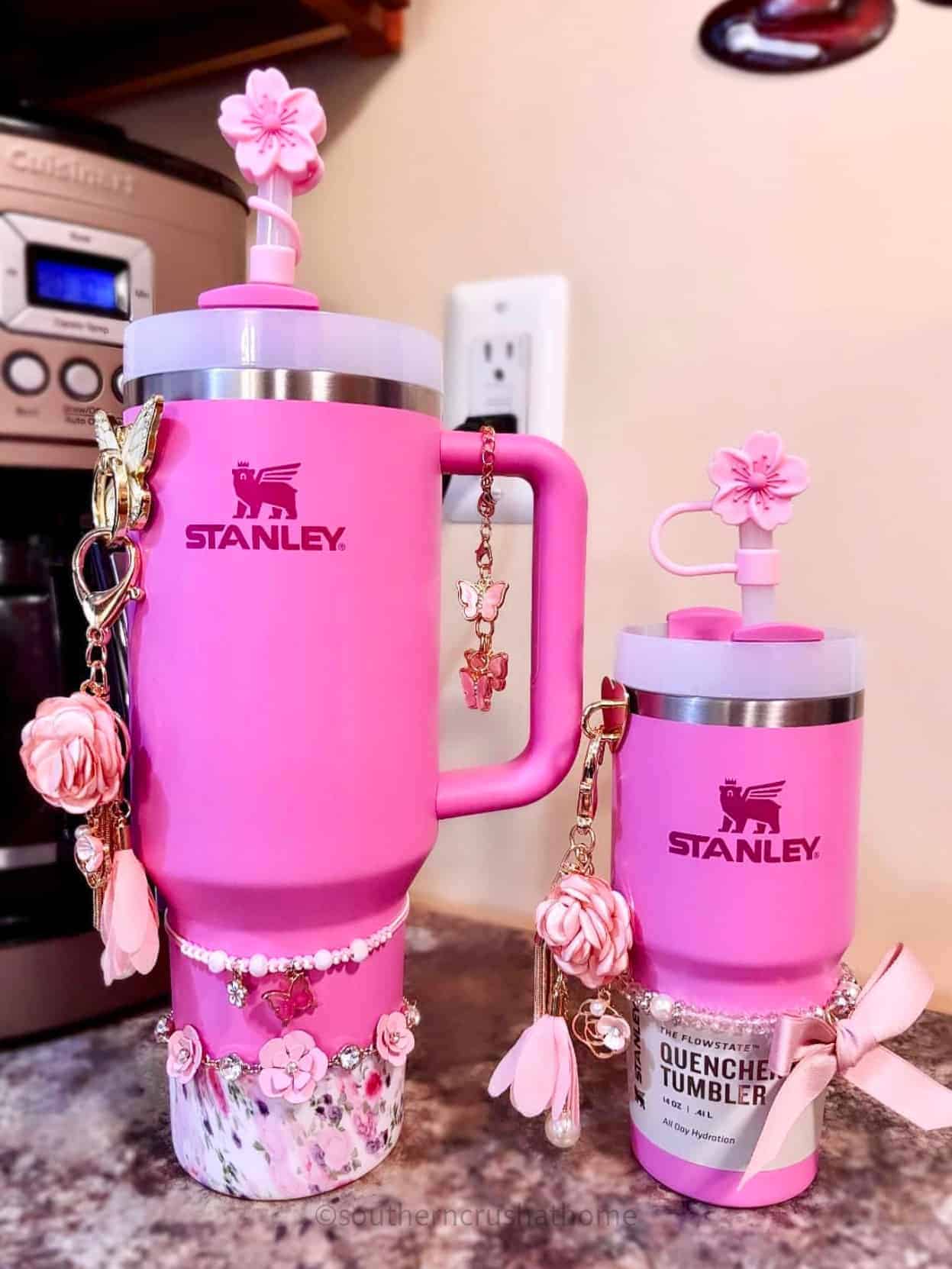 Stanley cup and Accessories (Pink 💗)